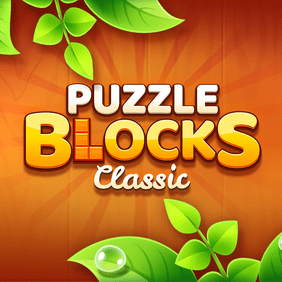 Puzzle Blocks